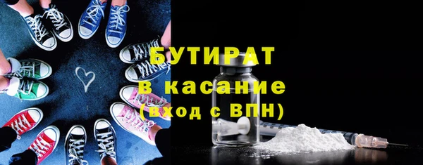 прущие грибы Вязьма