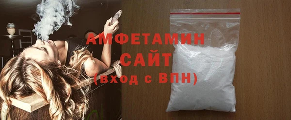 прущие грибы Вязьма
