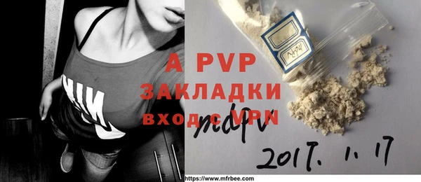 прущие грибы Вязьма