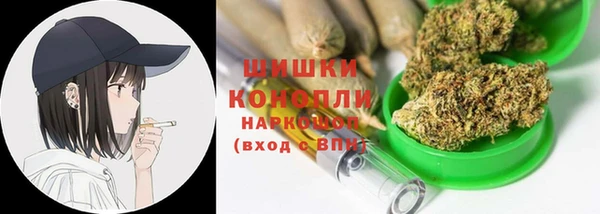 прущие грибы Вязьма