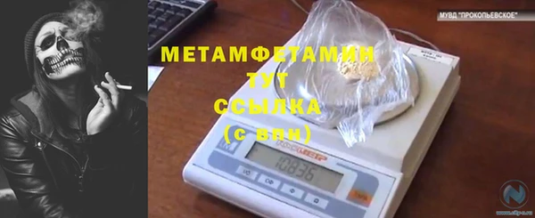 прущие грибы Вязьма