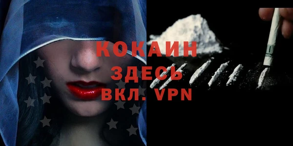 прущие грибы Вязьма