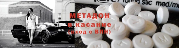 прущие грибы Вязьма
