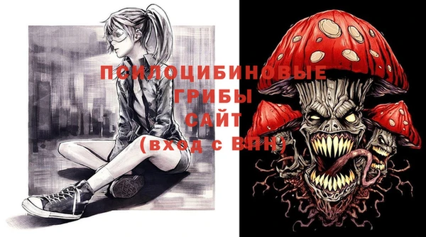 mdpv Вяземский
