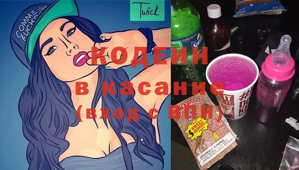 прущие грибы Вязьма