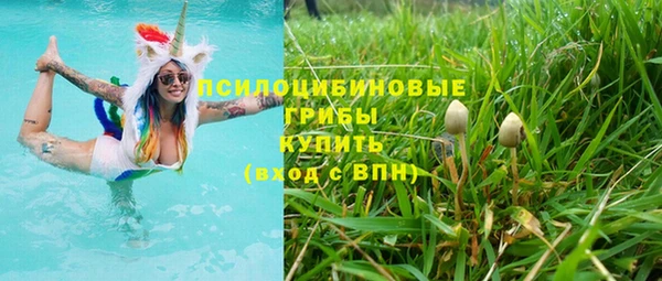 прущие грибы Вязьма