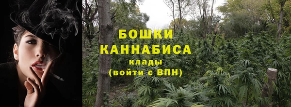 mdpv Вяземский