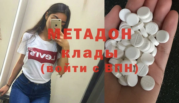 прущие грибы Вязьма