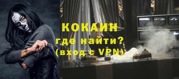 прущие грибы Вязьма