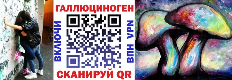 Купить где Кизляр Галлюциногенные грибы Cubensis