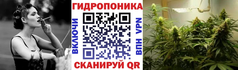 Купить где  Кизляр  Каннабис Bruce Banner 